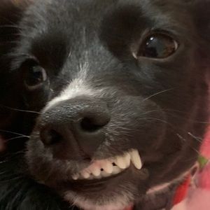 Meet your Posher, Derek